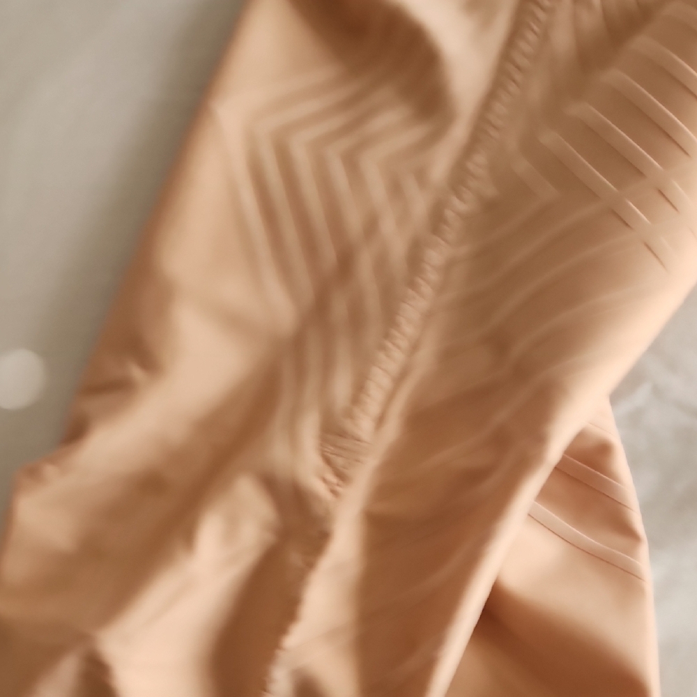 Honeylove Beige High-Waisted Shapewear - Picture 5 of 6
